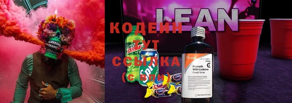 кокс Вяземский