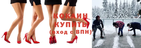 ГАЛЛЮЦИНОГЕННЫЕ ГРИБЫ Вязники
