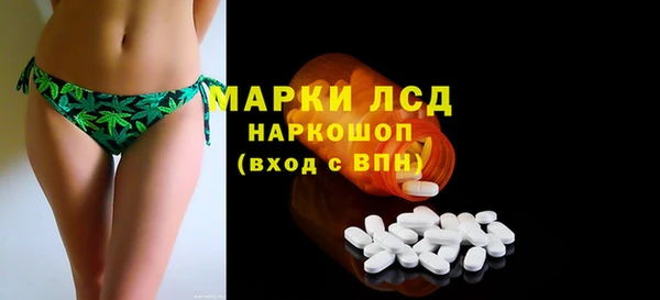 ГАЛЛЮЦИНОГЕННЫЕ ГРИБЫ Вязники