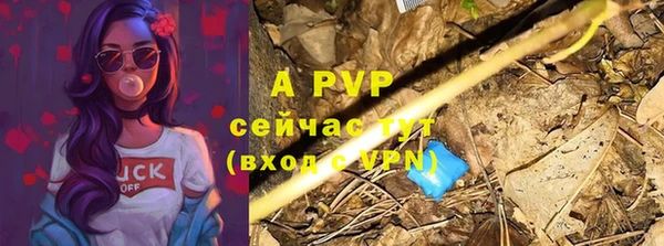 ГАЛЛЮЦИНОГЕННЫЕ ГРИБЫ Вязники
