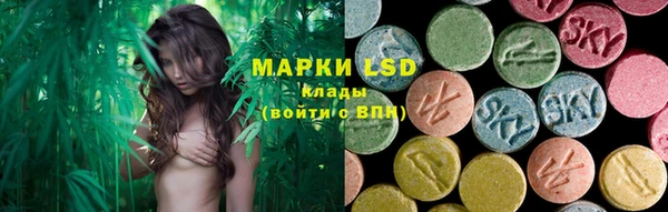 ГАЛЛЮЦИНОГЕННЫЕ ГРИБЫ Вязники