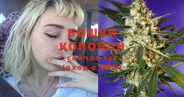 кокс Вяземский